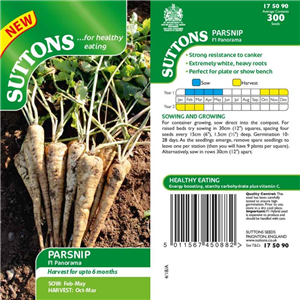 Parsnip seed -  F1 Panorama